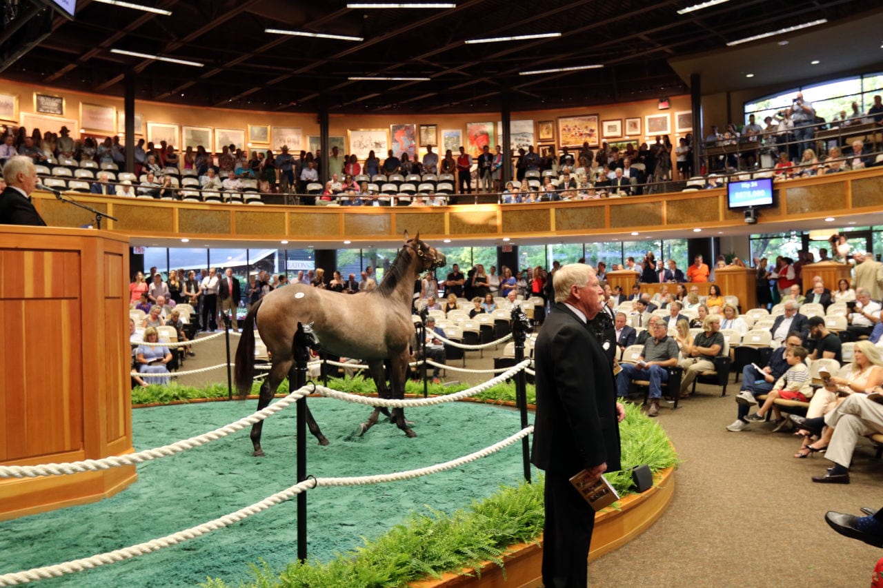 Curlin colts dominate second Fasig-Tipton Saratoga session; pair bring $1.5 million
