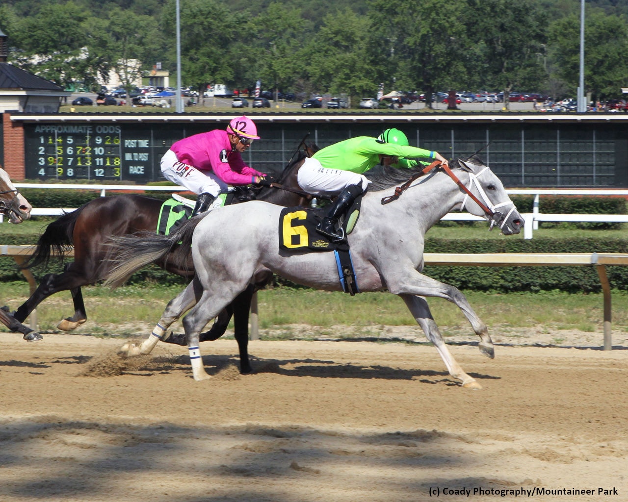 Silver Dust the horse to fear in upgraded Louisiana