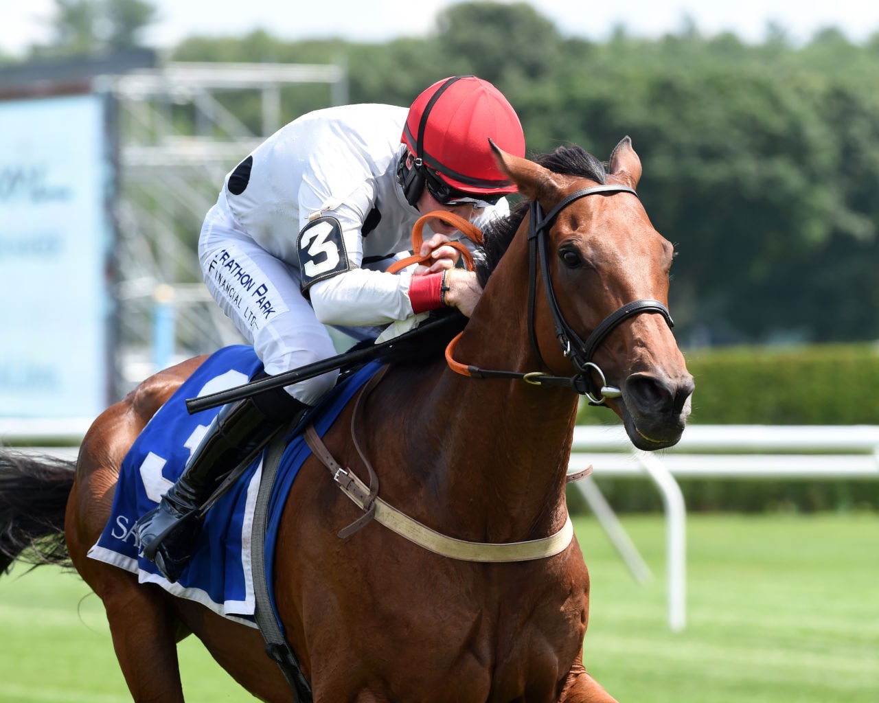 Youth, talent give Winston C an edge in New York Turf Writers Cup