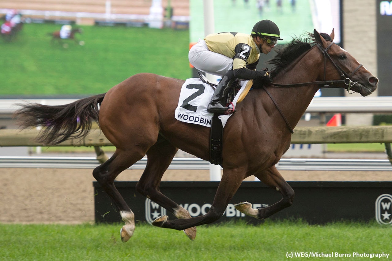 Turf juveniles Decorated Invader, Abscond take Breeders’ Cup WAYIs at Woodbine