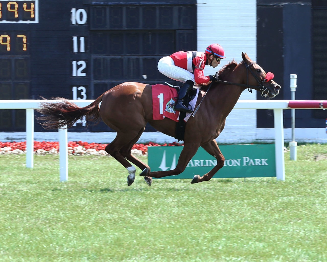 Hotshot Anna looms as strong favorite to repeat in Presque Isle Downs Masters