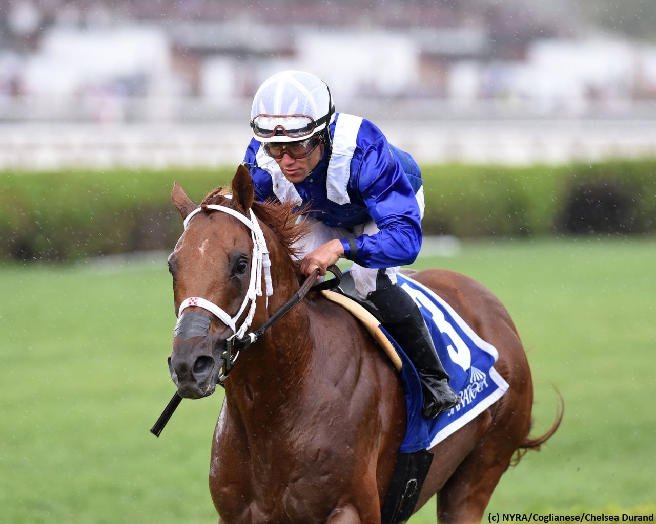 Qurbaan back in winner’s circle after Baruch repeat