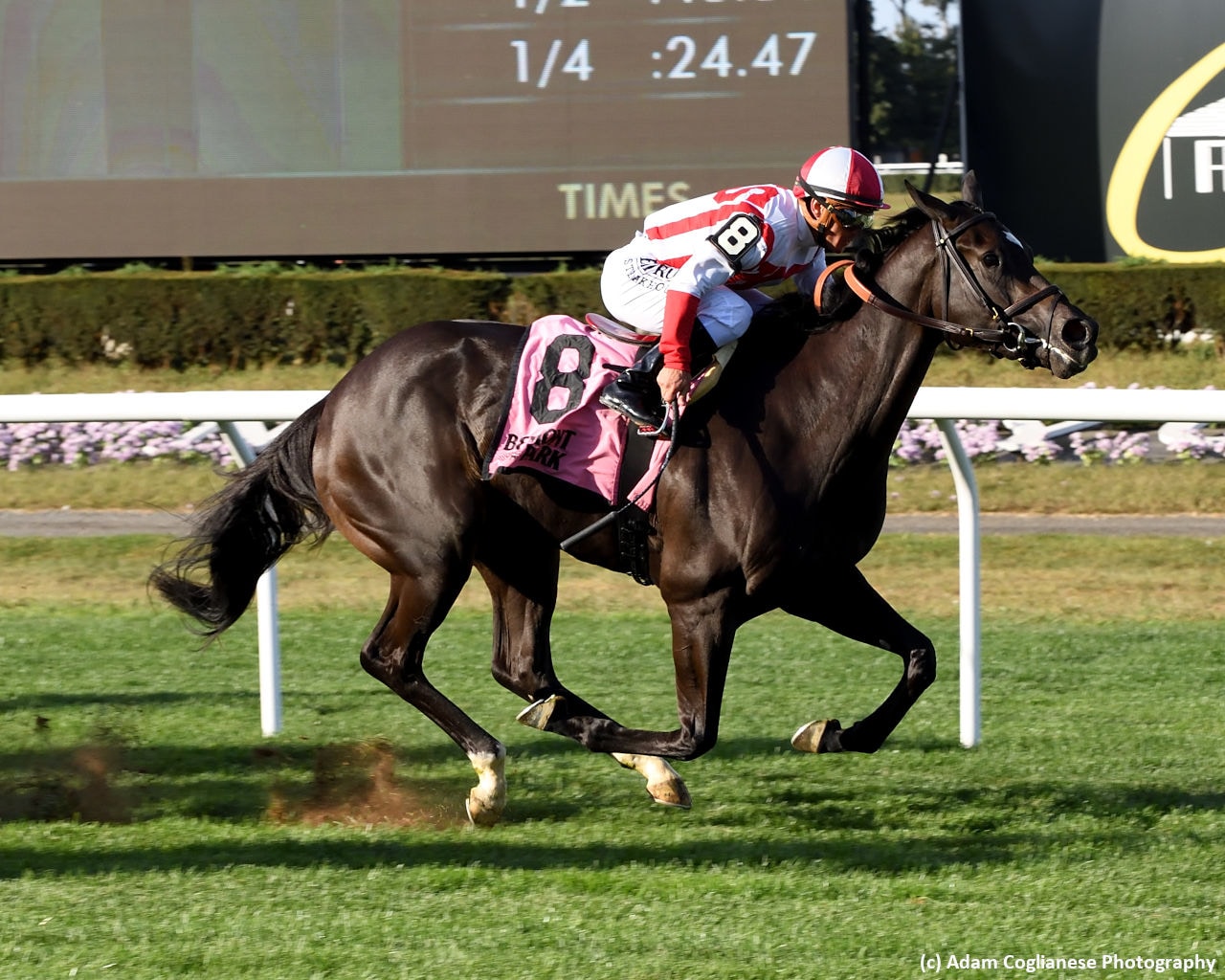 Selflessly enters BC Juvenile Fillies Turf picture in maiden-breaking Miss Grillo
