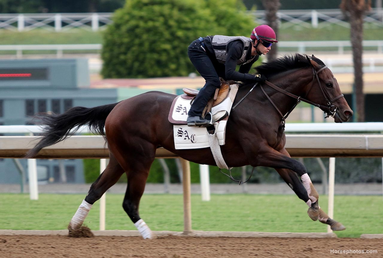 Donna Veloce makes season debut in Santa Ysabel