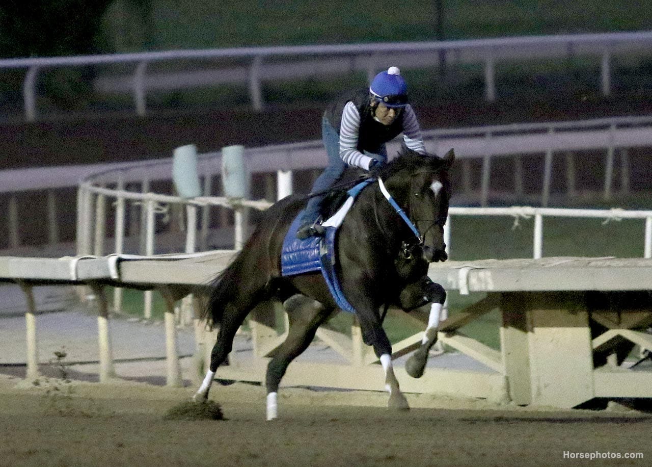 Santa Anita main track may pose challenge to out-of-state shippers