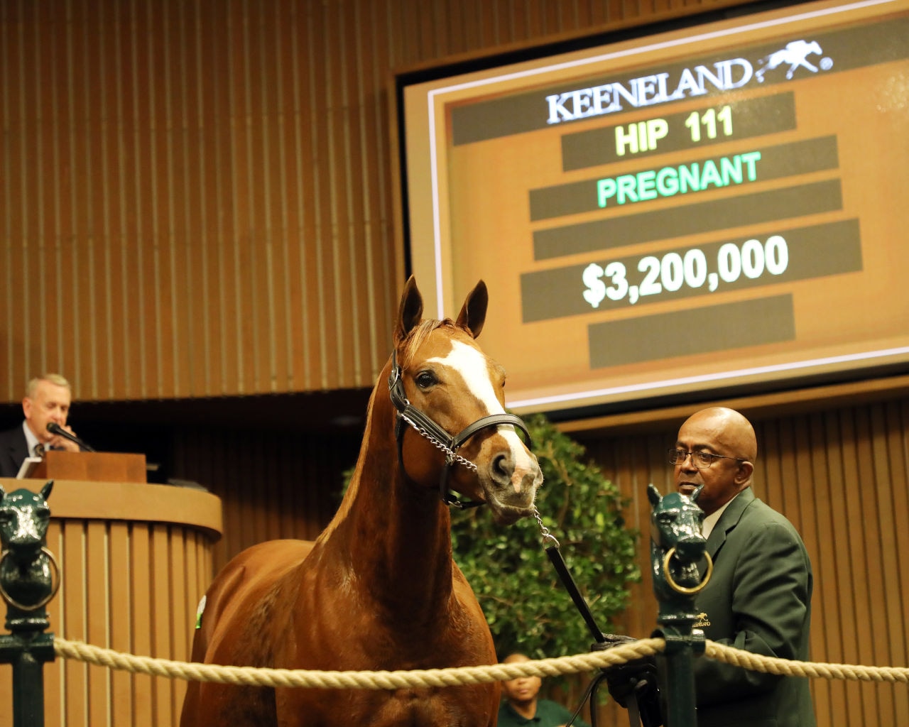 Champion Take Charge Brandi tops Keeneland November Book 1 at $3.2 million