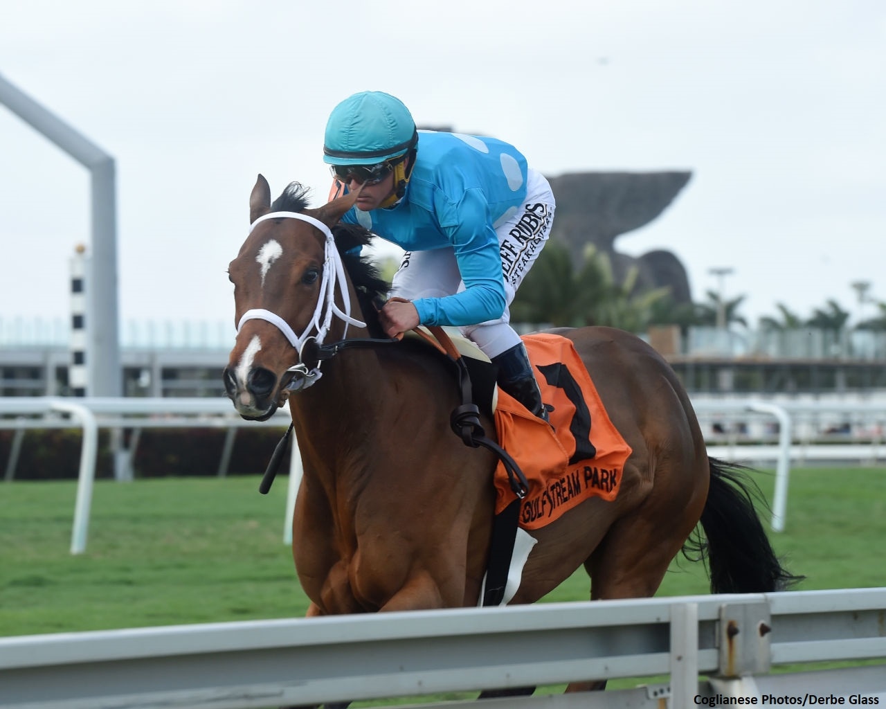 Starship Jubilee outclasses them in Sunshine Millions three-peat