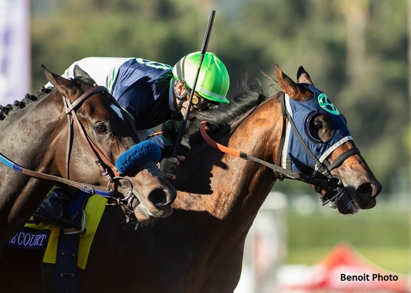 Storm the Court favored at 3-1, full field seeks Kentucky Derby points in Ohio Derby