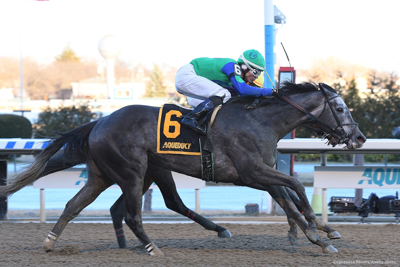 Water White upsets Busher; Shedaresthedevil finds seam in Honeybee