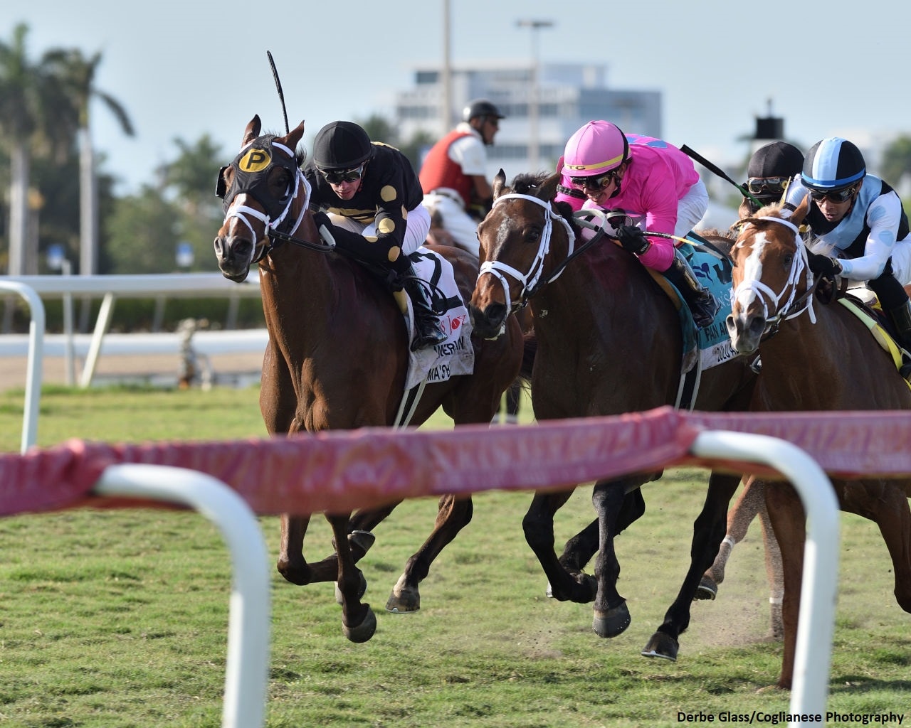 Bemma’s Boy upstages stablemate Zulu Alpha in Pan American