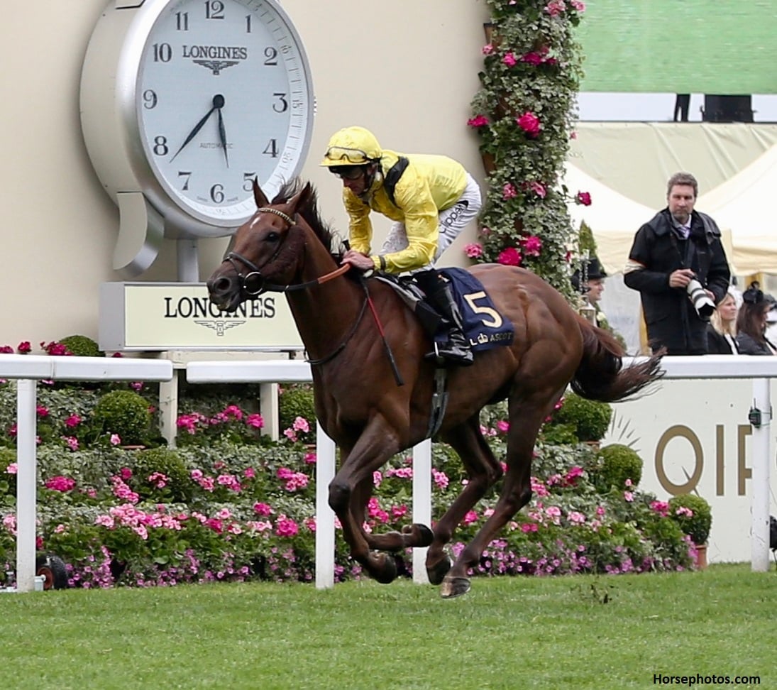 Addeybb fulfills Haggas’ plan in Queen Elizabeth at Randwick