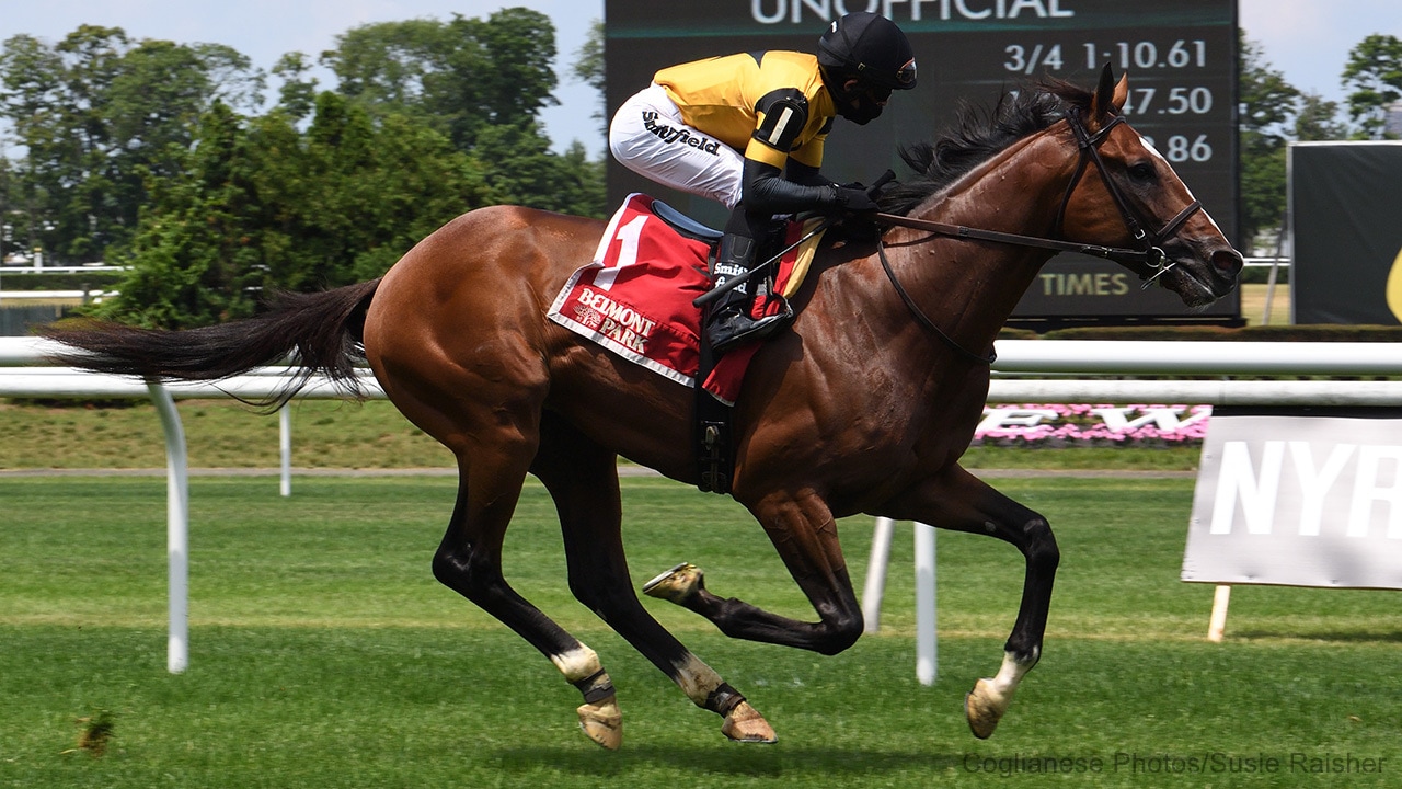 Decorated Invader reverts to mile in Hill Prince; five set for Knickerbocker