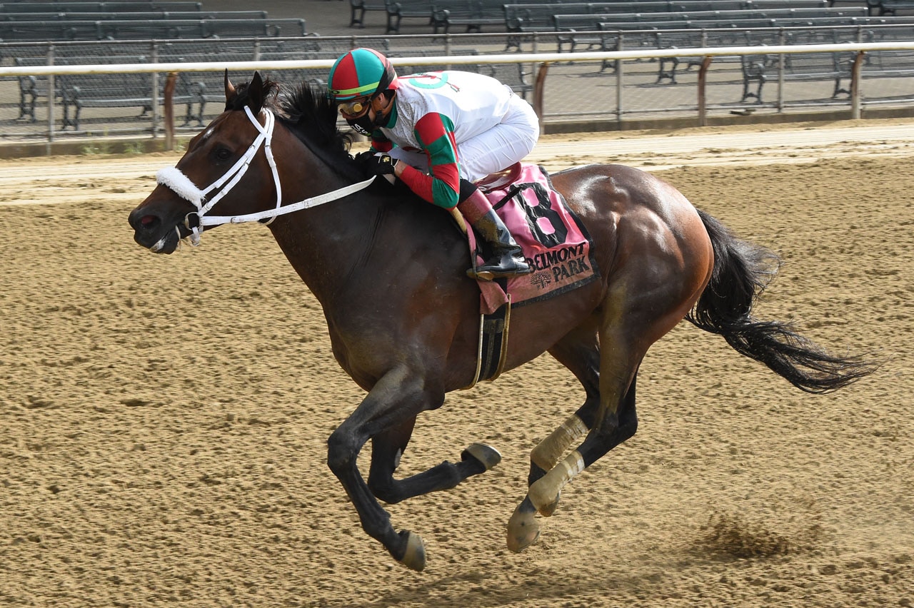 Victim of Love, Firenze Fire nab graded sprints at Belmont