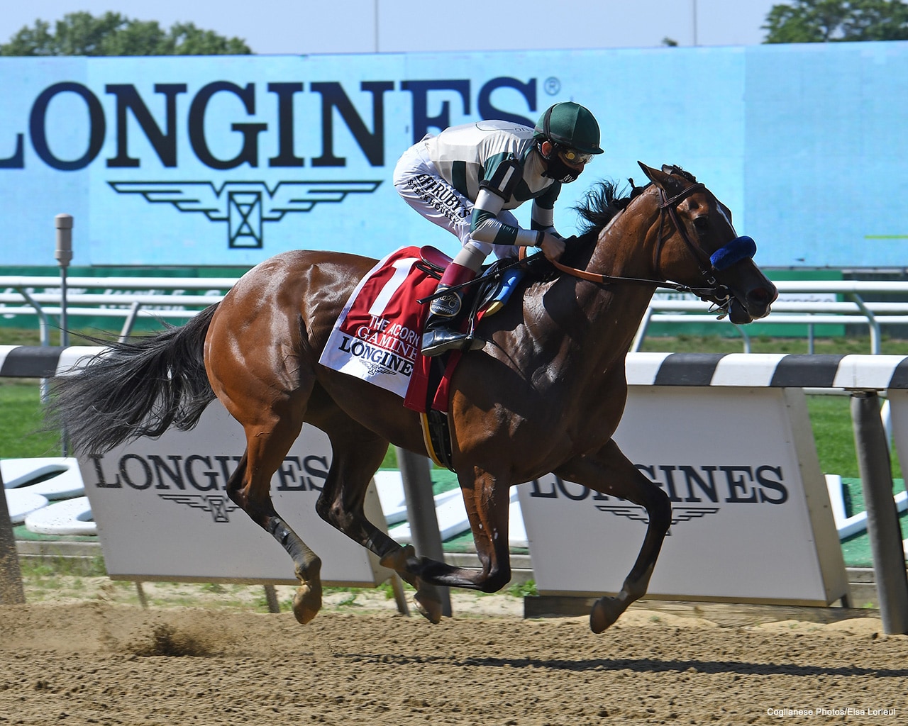 Gamine heads six in Test