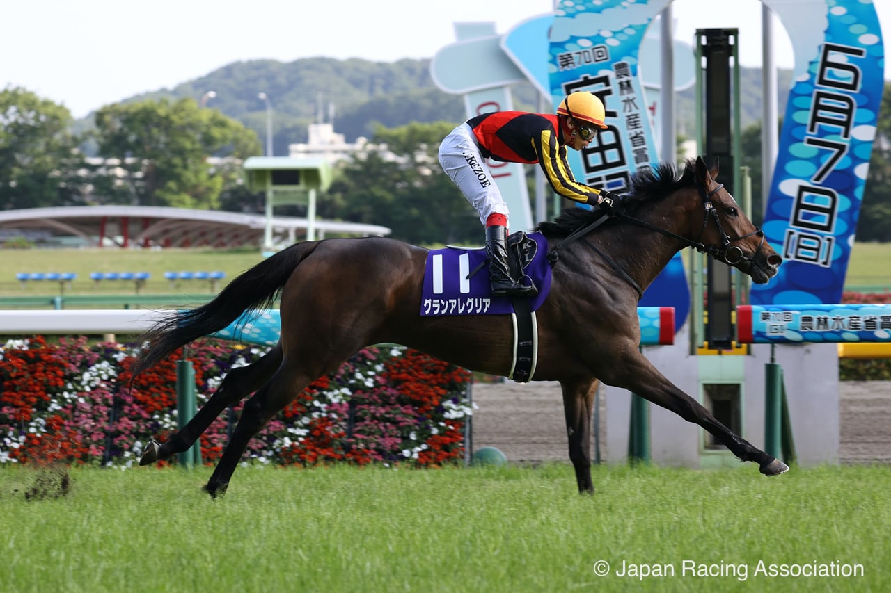 Gran Alegria topples Almond Eye in Breeders’ Cup WAYI Yasuda Kinen