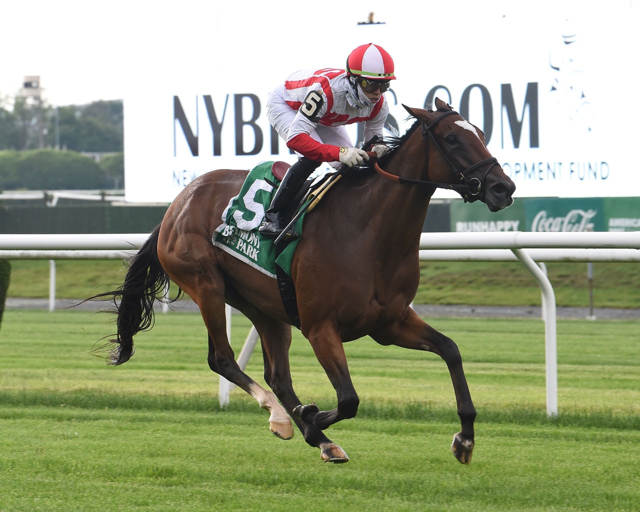 Newspaperofrecord, Instilled Regard run up to billing for rampant Brown at Belmont