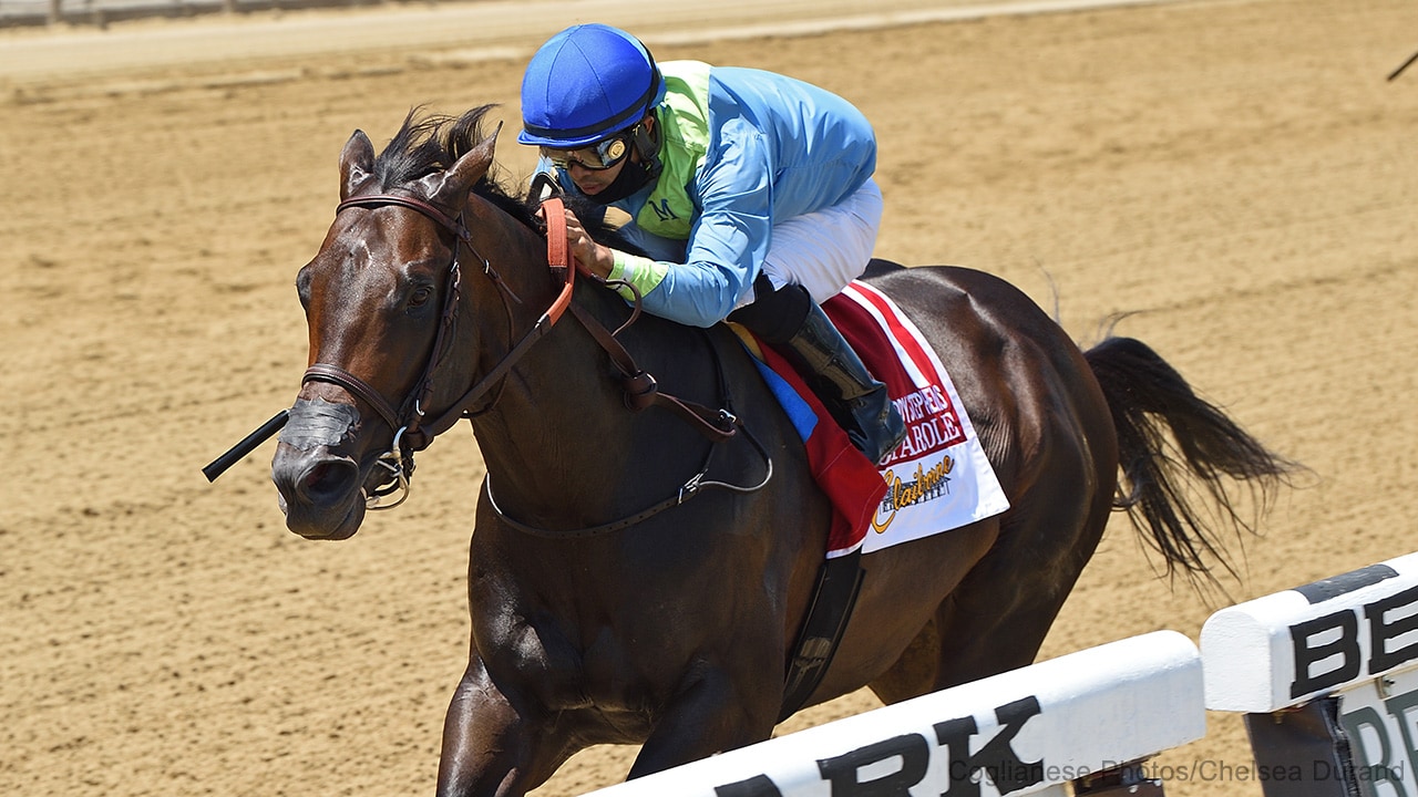 No Parole never looks back in Woody Stephens Stakes