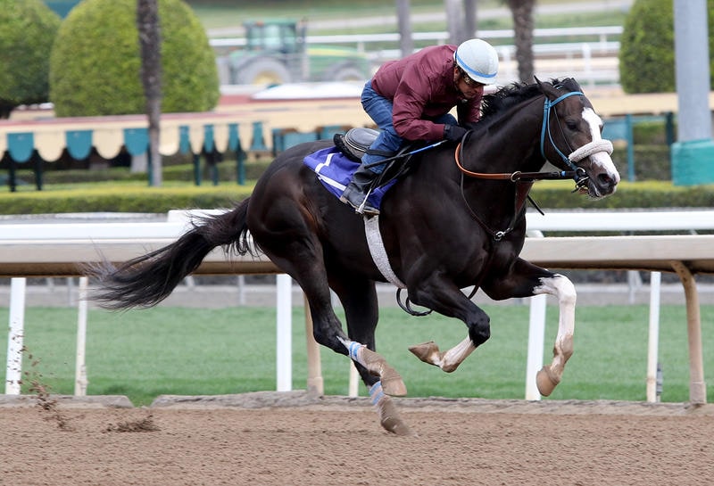 Five points to ponder: Santa Anita Derby