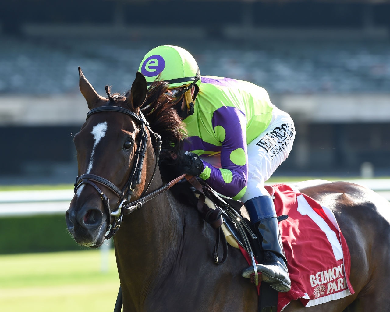Rushing Fall leads throughout in Beaugay