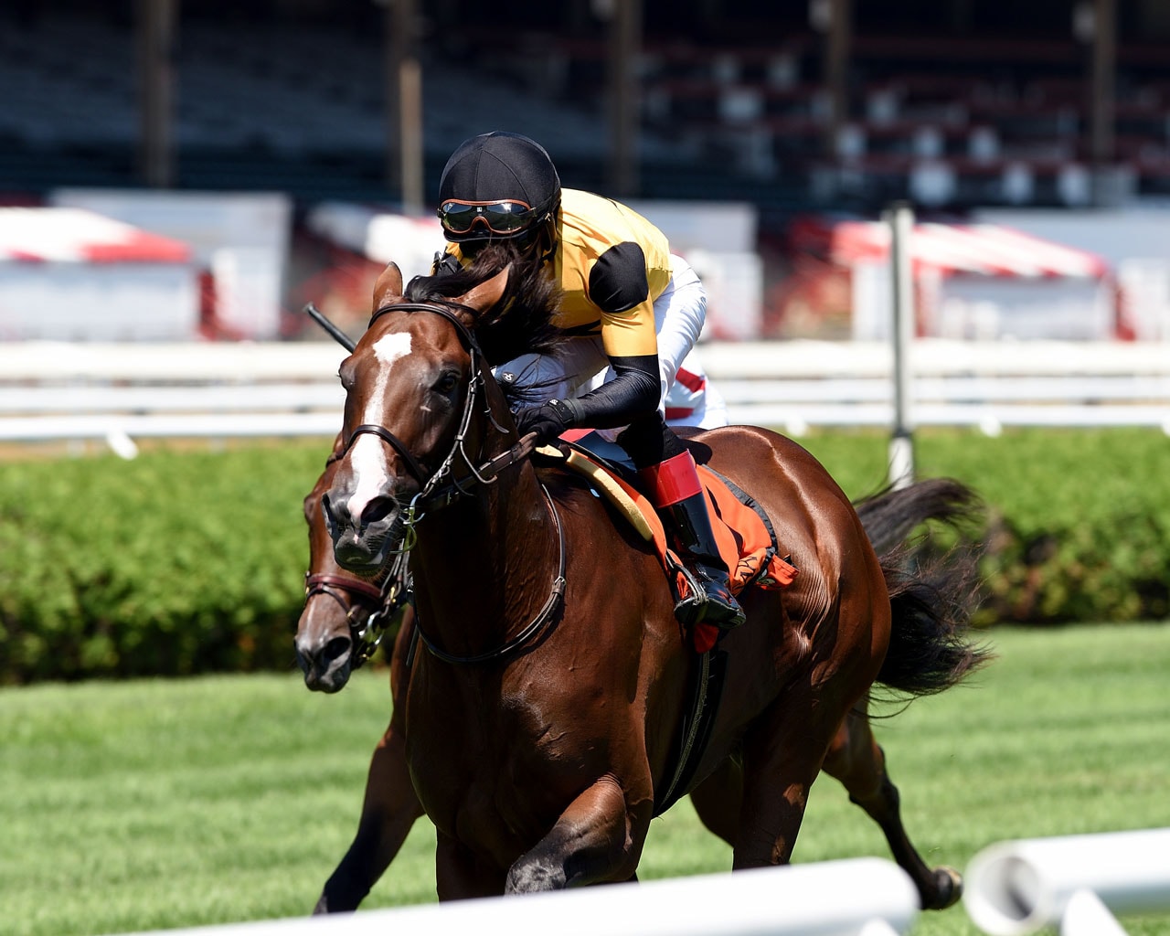 Decorated Invader runs up to billing in Hall of Fame