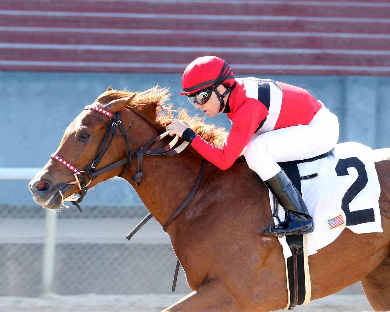 Piece of My Heart going good heading into Delaware Oaks