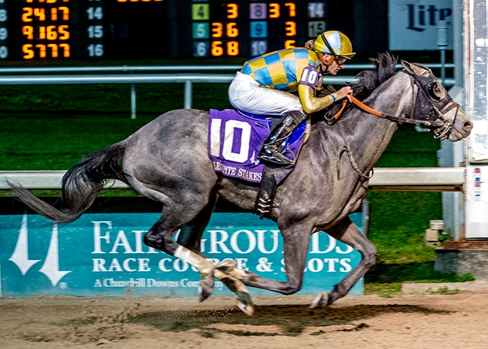 Five points to ponder: Blue Grass