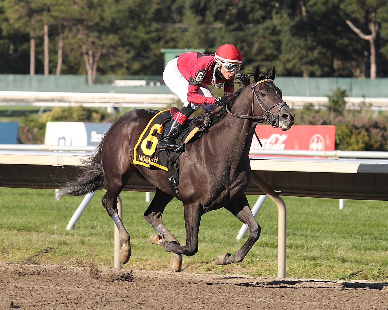 Pirate’s Punch gains compensation in Salvator Mile