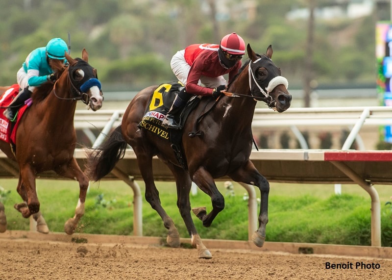Dr. Schivel shines in Del Mar Futurity; Big Fish rallies in Juvenile Turf