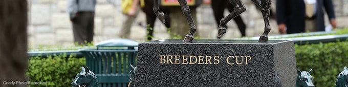 Breeders' Cup Official Entries and Morning Line Odds 2020