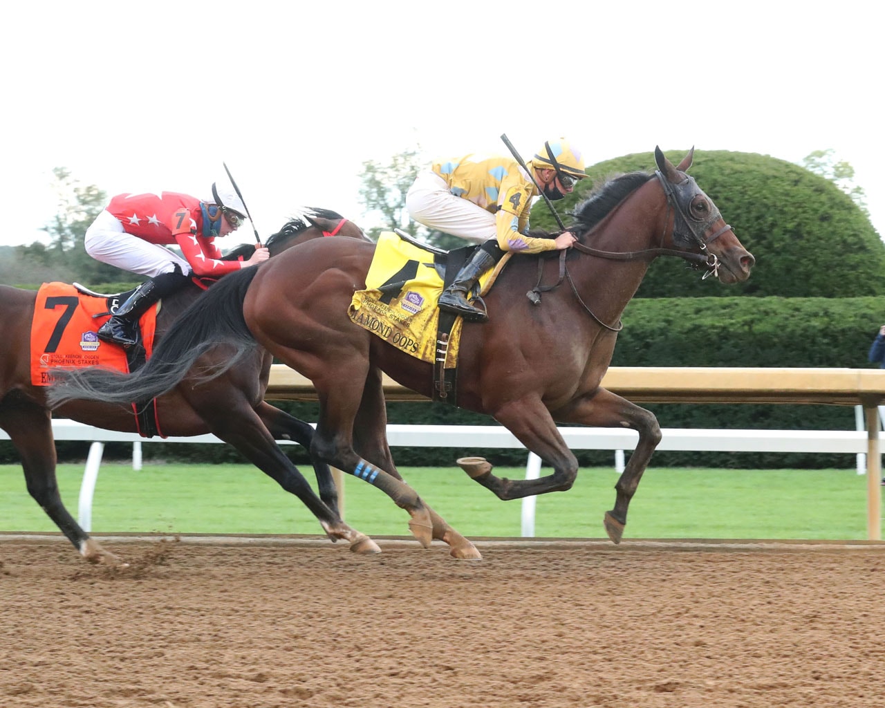 Diamond Oops wears down longshot foe to win Phoenix