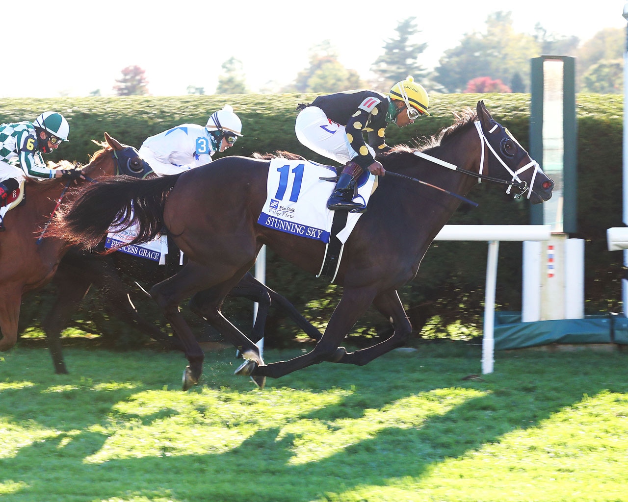 Stunning Sky faces familiar foes in Mrs. Revere