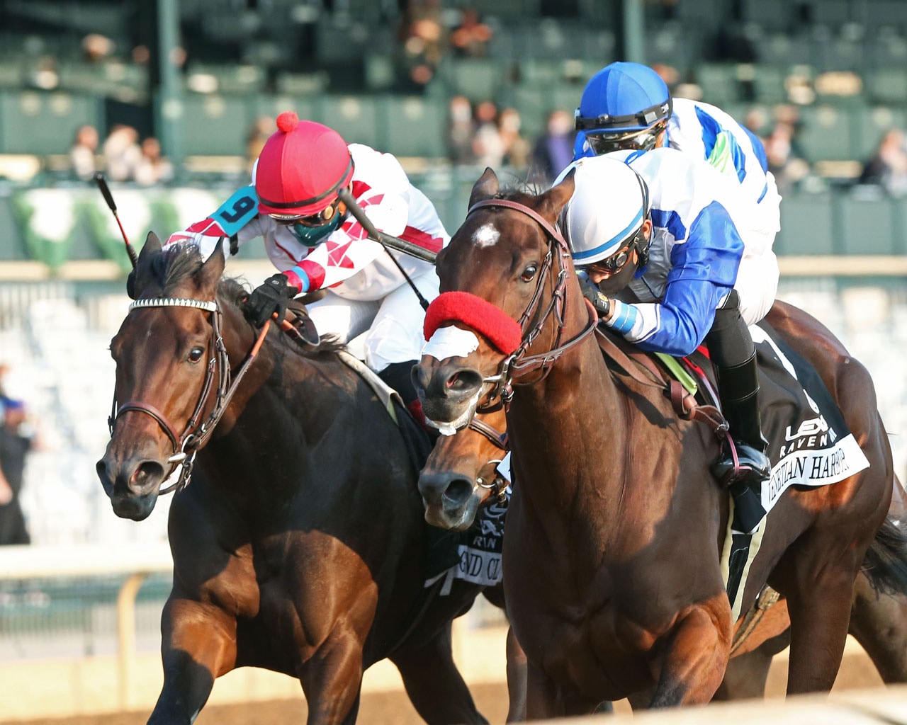 Venetian Harbor aims for Breeders' Cup after Raven Run score