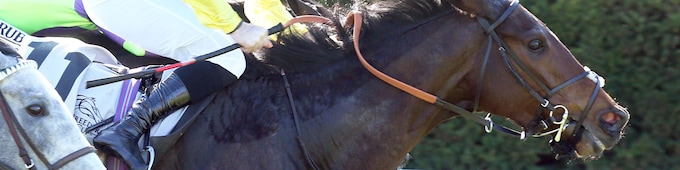 Breeders’ Cup Filly & Mare Turf Transcript 2020