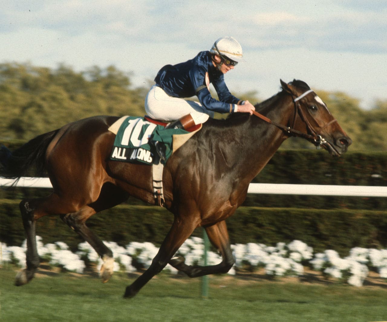 Ranking Eclipse Award Winners: Turf Female