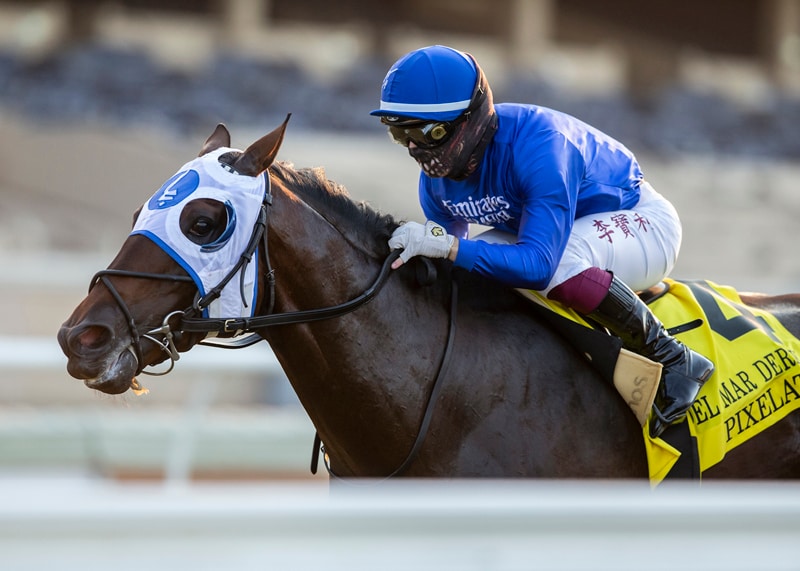 Pixelate, Lady Apple aim to regain winning thread in Fair Grounds stakes