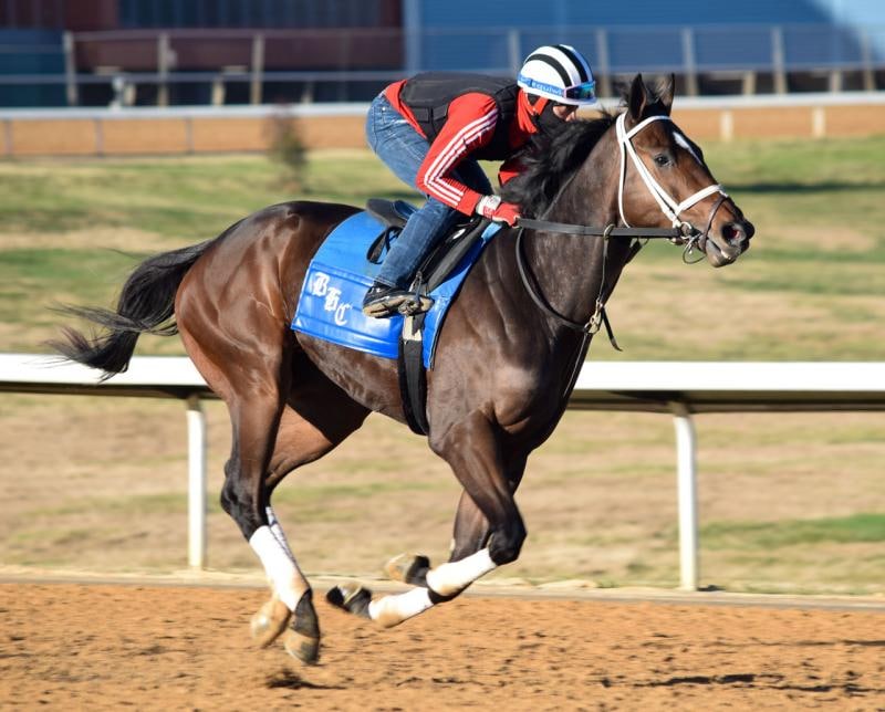 Caddo River, Cowan top Smarty Jones on Oaklawn opener