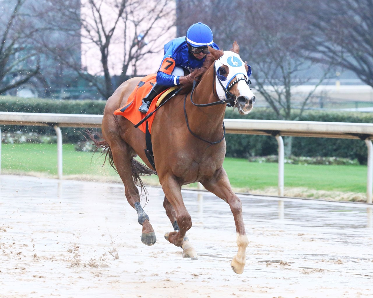 Mystic Guide overcomes wide trip to romp in Razorback