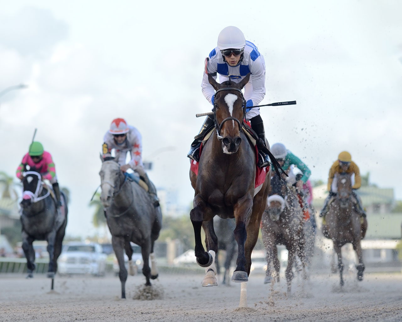 Wholebodemeister shocks at 52-1, Vequist ninth in Davona Dale