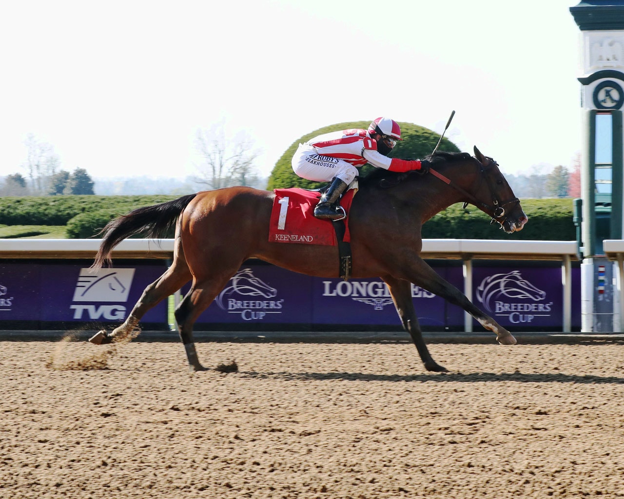 Highly Motivated tops eight in Gotham; The Grass Is Blue meets five in Busher