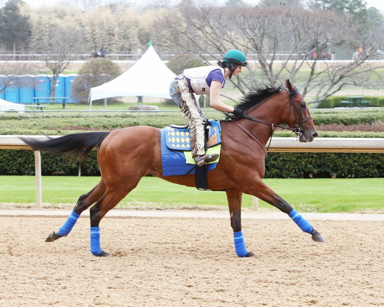 Four points to ponder: 2021 Lexington Stakes, Arkansas Derby