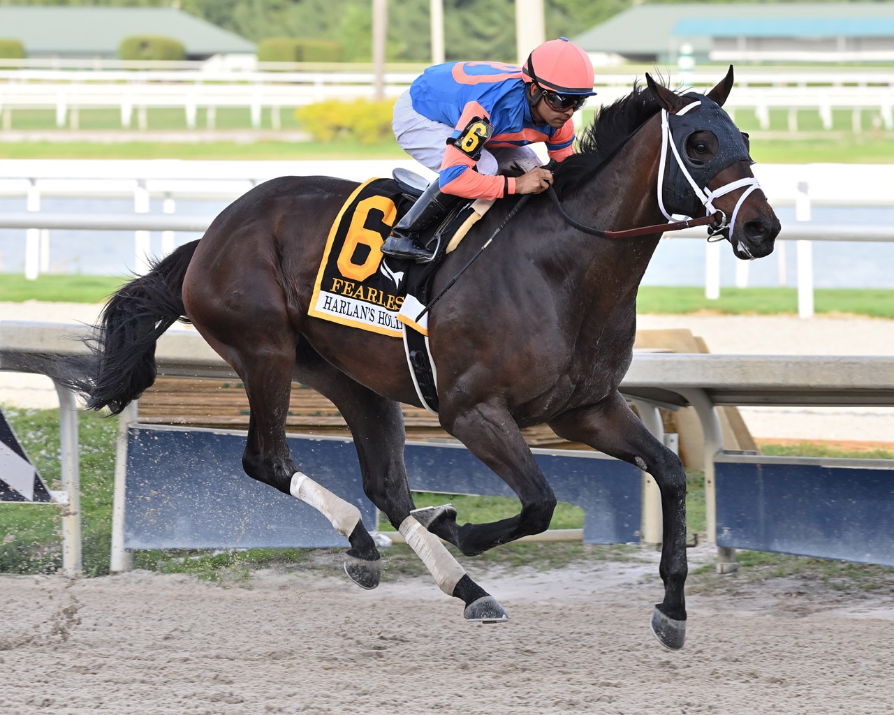 Fearless much the best in Harlan's Holiday
