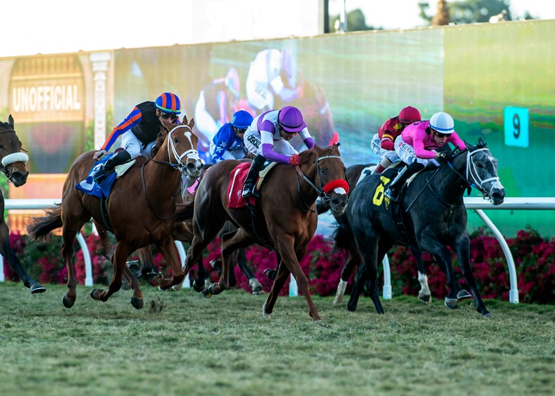Awake At Midnyte returns to dirt in Santa Ynez