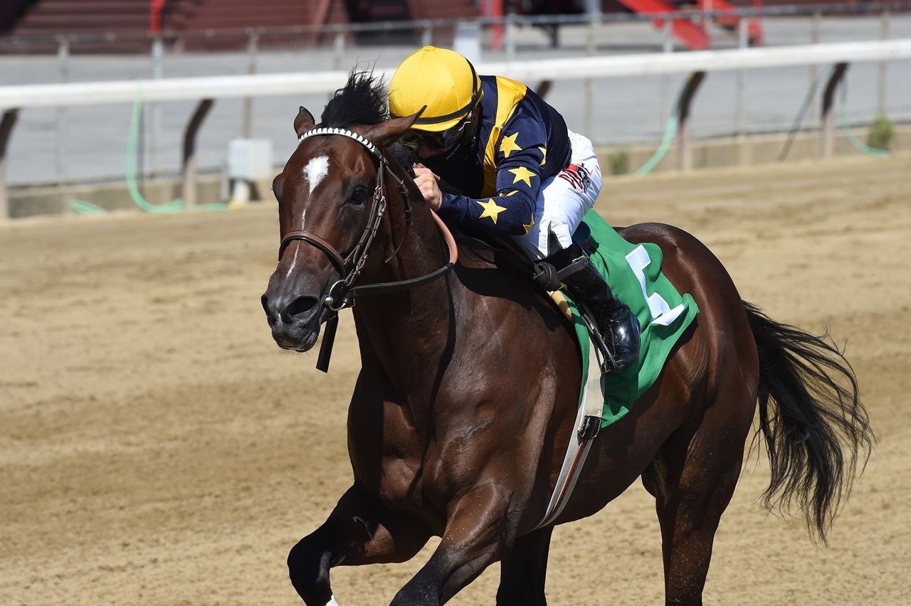 Olympiad the one to catch in New Orleans Classic; Santin can improve in Muniz Memorial