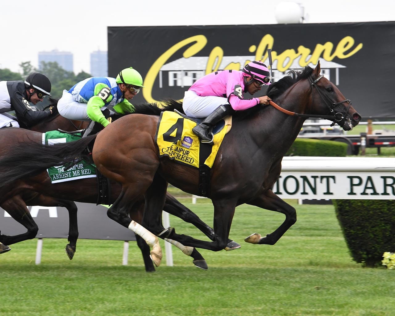 Casa Creed posts repeat win in Jaipur