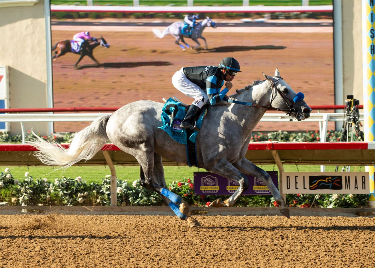 American Theorem motors to BC berth in Bing Crosby