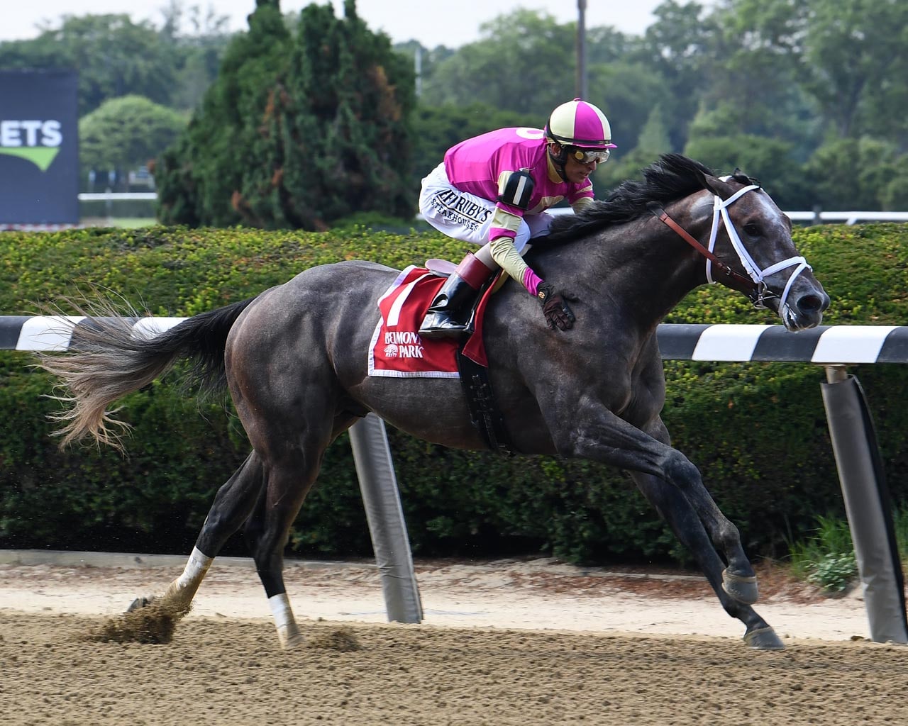 Charge It stylishly back on track in Dwyer