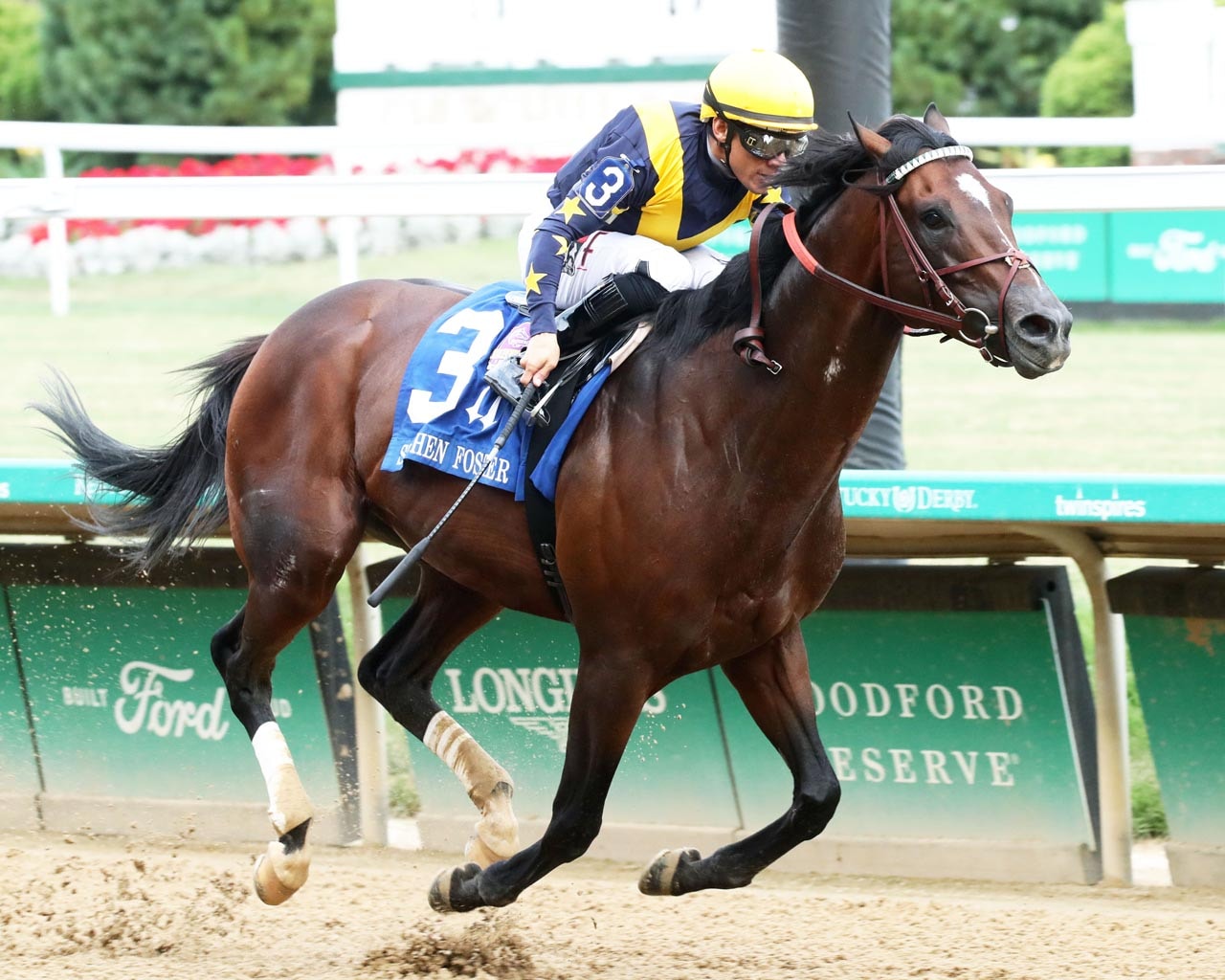 Olympiad too much for Stephen Foster rivals