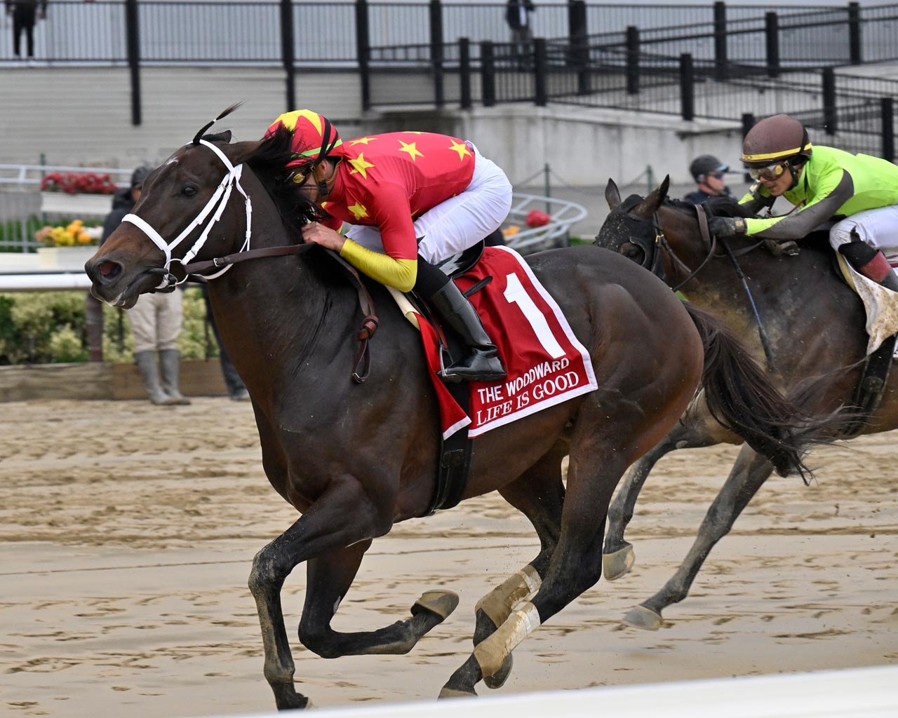 Life Is Good does enough to land Woodward at prohibitive odds