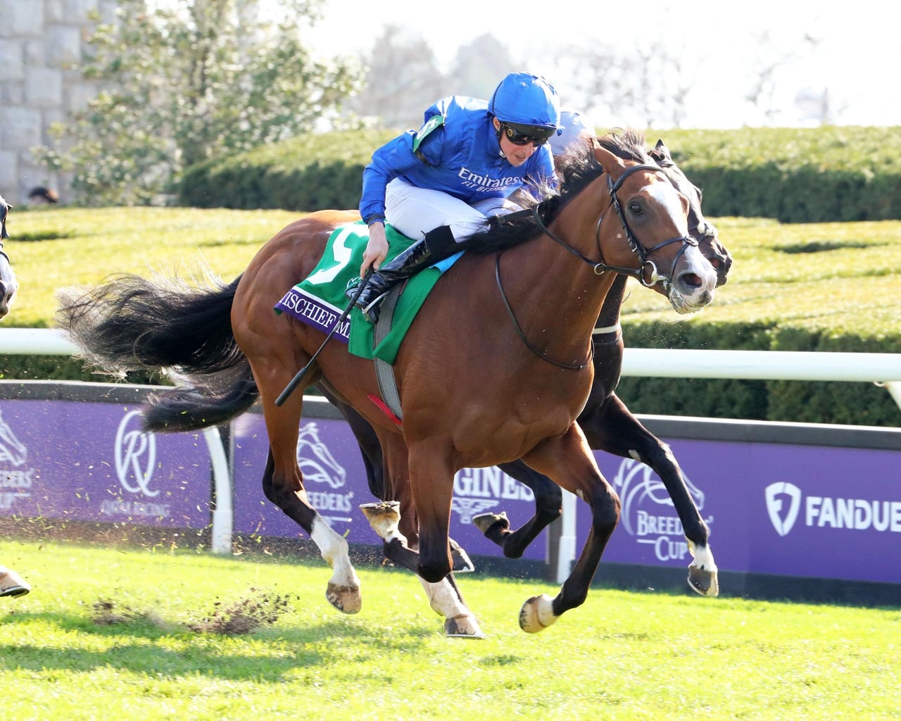 Mischief Magic goes last to first in BC Juvenile Turf Sprint