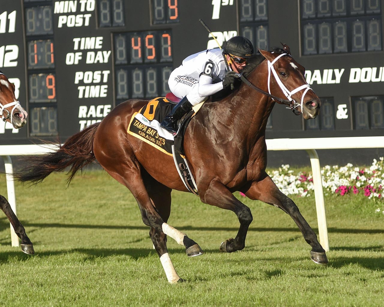 Emmanuel, Surprisingly register Grade 3 wins on Tampa turf